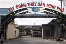 MPC đặt kế hoạch có lãi năm 2025 và trả cổ tức tiền mặt