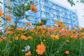 Công ty Thiên Phương và những gói thầu có tỷ lệ tiết kiệm 2,67% [Kỳ 1]