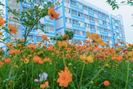 Công ty Thiên Phương và những gói thầu có tỷ lệ tiết kiệm 2,67% [Kỳ 1]