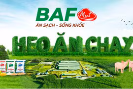 Nông nghiệp BAF Việt Nam bị phạt gần 900 triệu đồng vì 'quên' khai báo M&A