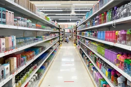 A Chi Son và những gói thầu tiết kiệm "nhỏ giọt" tại Vietsovpetro [Kỳ 3]