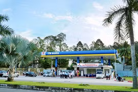 Cổ đông lớn của Tín Nghĩa là ai?