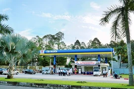 Cổ đông lớn của Tín Nghĩa là ai?