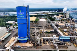 DPM đặt kế hoạch tăng trưởng hai chữ số năm 2026