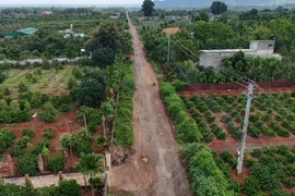 Công an phát hiện việc giả chữ ký thành viên tổ chuyên gia tư vấn 5 gói thầu