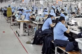 HTG bị phạt do khai sai thuế