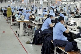 HTG bị phạt do khai sai thuế