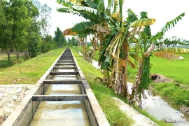 An Giang: Hiệu quả thực sự sau gói thầu sạt lở tiết kiệm gần 9% [Kỳ 5]