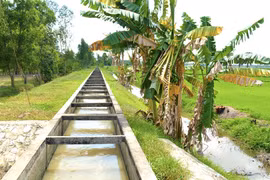 An Giang: Hiệu quả thực sự sau gói thầu sạt lở tiết kiệm gần 9% [Kỳ 5]