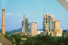 Vicem tăng lỗ luỹ kế lên 3.089 tỷ đồng