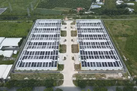 Đầu tư Sài Gòn VRG: Giải mã "khoản vay bí ẩn" 4.900 tỷ đồng