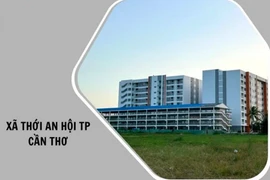 Năng lực đấu thầu của Công ty Xây dựng PHT: Trượt 16 trên 19 gói [Kỳ 2]