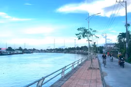 Công ty Ngô Vạn Phát: Doanh nghiệp siêu nhỏ và "kỷ lục" trúng thầu 90% [Kỳ 1]