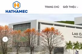 Vi phạm công bố thông tin: Hai doanh nghiệp bất động sản bị phạt nặng