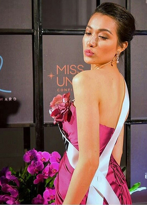 Tối qua (16/1), Á hậu Lệ Hằng đã tham gia tiệc chào mừng của cuộc thi Miss Universe 2016. Xuất hiện tại sự kiện, cô chọn mặc bộ đầm dạ hội cúp ngực tông hồng.