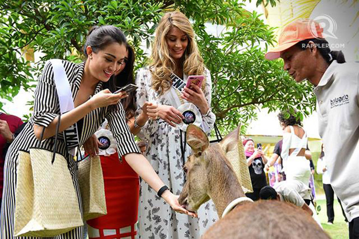 Ngoài tham gia trình diễn trong chương trình thời trang Terno Fashion Show, Á hậu Lệ Hằng còn trải qua hoạt động tham quan thắng cảnh tại thành phố Vigan, Philippines vào buổi sáng và chiều ngày 15/1.