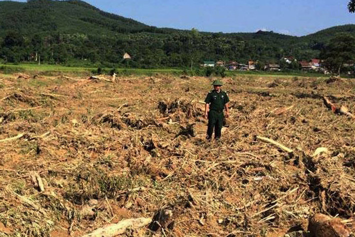 Bộ đội biên phòng tỉnh Thanh Hóa và các lực lượng khác vẫn đang tích cực tìm kiếm những người mất tích còn lại.