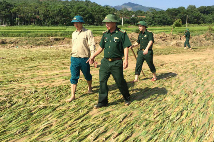 Theo ông Thuận, nguyên nhân của lũ quét, thứ nhất là do biến đổi khí hậu gây ra. Thứ hai là do một phần của việc mất rừng đầu nguồn. Hiện tại, lực lượng Công an huyện Quỳ Châu và các lực lượng tìm kiếm đang nỗ lực để đưa những phần thi thể ra ngoài để kiểm tra, đưa đi giám định.