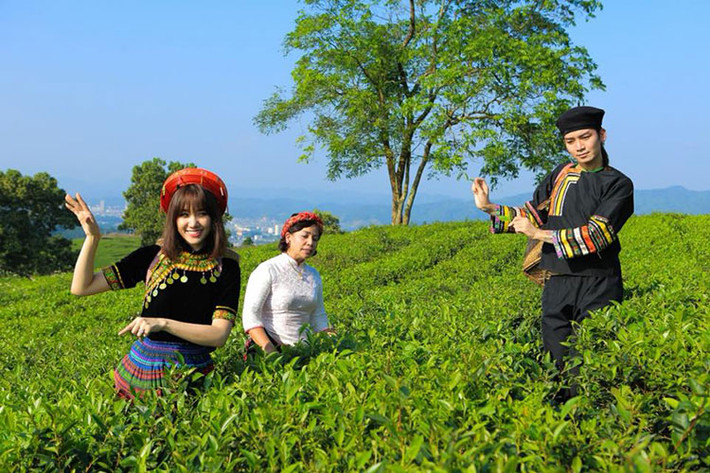 Hari Won tạo dáng giữa vườn chè là một trong những tin tức sao Việt trong ngày 6/1.