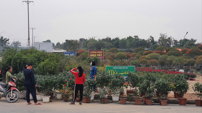 Xã Xuân Quan, tỉnh Hưng Yên - nằm ở phía Bắc của huyện Văn Giang, giáp ranh với Thủ đô Hà Nội. Đây là nơi có nghề trồng hoa nhiều năm qua mang lại hiệu quả kinh tế cao, tạo được nhiều công ăn việc làm ổn định cho người lao động. Hiện địa phương có 1.250 hộ trồng hoa cây cảnh, cây công trình với tổng diện tích là hơn 178 ha chiếm 77,2% diện tích đất nông nghiệp.