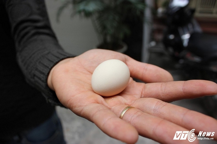 Trứng gà Seram có giá 200.000 đồng một quả. Ảnh Tiểu Lâm