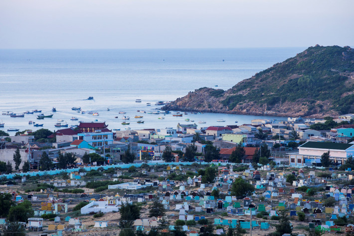 Toàn cảnh xã Nhơn Lý nhìn từ trên cao. Nghề chính của người dân vẫn là đi biển đánh bắt thủy hải sản. Gần đây, du lịch phát triển, họ làm thêm dịch vụ cho thuê thuyền, hướng dẫn du khách tham quan đảo.