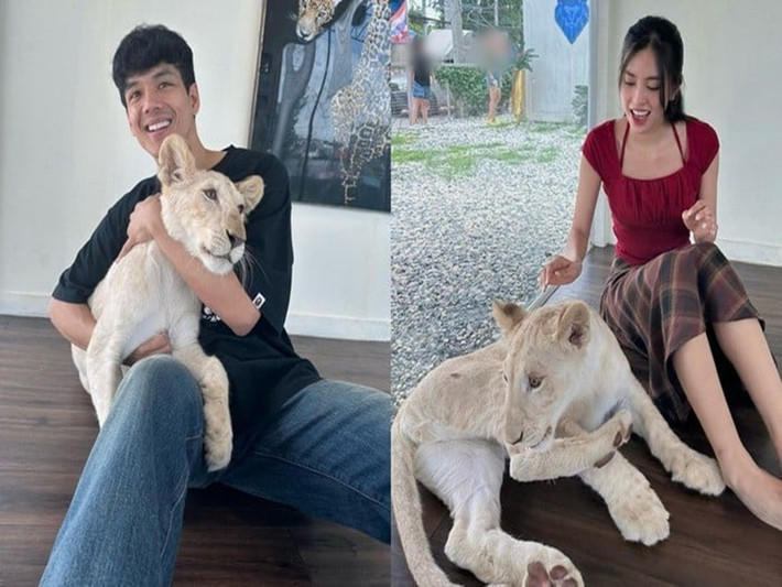 Mới đây, rộ tin đồn hẹn hò giữa Hoa hậu Tiểu Vy và Nicky Nachat Juntapun. Cụ thể, cư dân mạng phát hiện Tiểu Vy và Nicky được cho là ở cùng địa điểm. Ngoài ra, Nicky vướng nghi vấn thường xuyên tương tác bài đăng của Tiểu Vy. Một số cư dân mạng còn tung bằng chứng cô gái xuất hiện bên Nicky là Tiểu Vy, thậm chí xác nhận nàng hậu mặc áo của nam diễn viên Thái Lan. Ảnh: Dân Việt.
