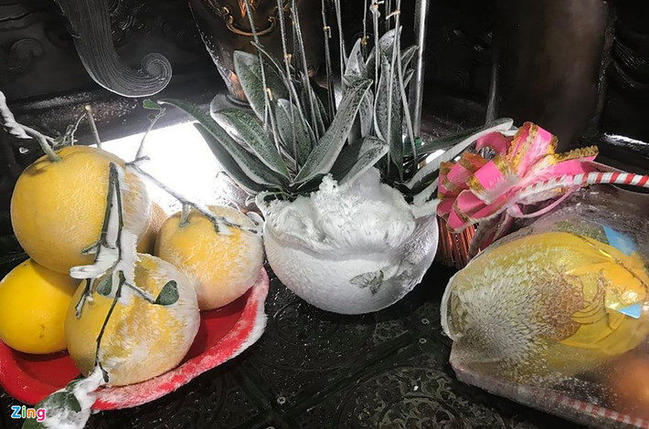 Không khí lạnh, khắc nghiệt khiến hoa quả và cây bên trong ngôi chùa xuất hiện lớp băng phủ bên ngoài.