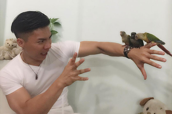 Hình ảnh Quốc Ngiệp diễn sâu làm ảo thuật với ba chú vẹt.