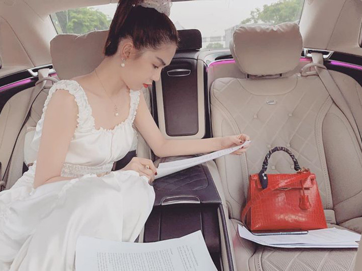 Ngọc Trinh làm CEO một công ty nhập khẩu và phân phối các sản phẩm chăm sóc sức khỏe, làm đẹp từ tháng 9/2018.