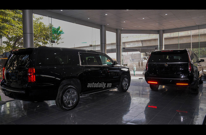 Cặp đôi khủng long Mỹ hiện đang có mặt tại Hà Nội và nằm trong Showroom ở số 281 Khuất Duy Tiến.