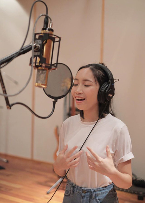 Năm 2016, Mỹ Anh từng ra mắt đĩa nhạc đầu tay The First Album: Bài hát cho Bi.
