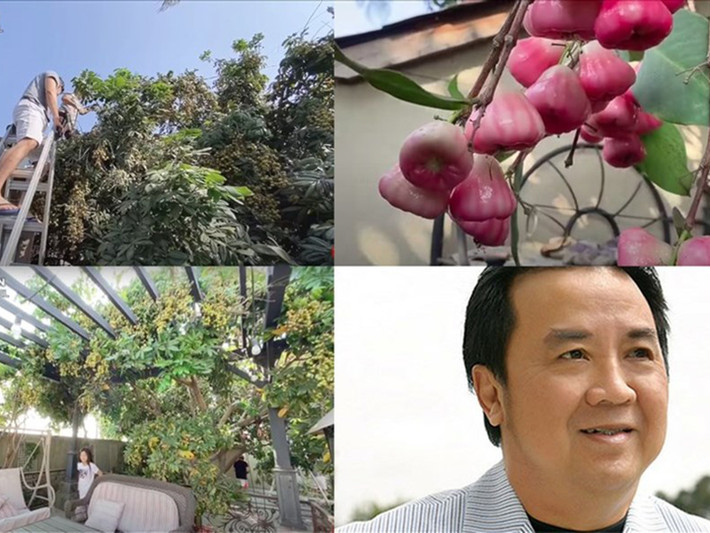 Mới đây, NSƯT Bảo Quốc giới thiệu đến khán giả khu vườn cây ăn trái ở Mỹ của ông và gia đình. Ảnh: Lao động