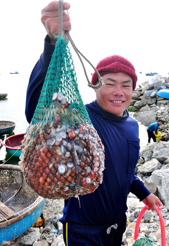 Bên cạnh khai thác ốc cừ, một số ngư dân còn đánh bắt thêm những loại có giá trị kinh tế cao như cua huỳnh đế, bạch tuộc, có ngày thu nhập lên đến 4 triệu đồng/ngày.