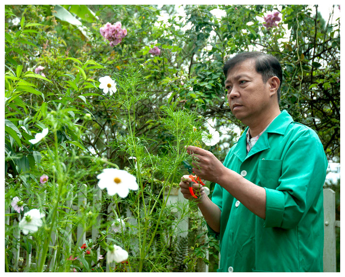 GS.TS Dương Tấn Nhựt bên những loài hoa quý Đà Lạt được ông nhân giống thành công.