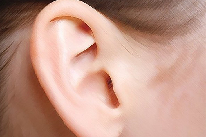 5. Dái tai to bản và dầy dặn. Dái tai to bản và dầy dặn được ví với tướng tai của phật Di Lặc, thường là tướng mạo của các doanh nhân, những ông chủ lớn trong thương trường. Ngoài ra, đây cũng là một trong những đặc trưng của kiểu người giàu có và phú quý.