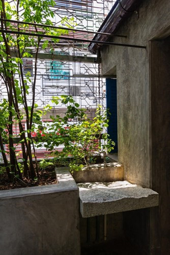 Một góc tiểu cảnh mát mẻ trong căn nhà.