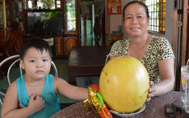 Trái dưa hấu 7 tháng vẫn "ngon lành" thuộc sở hữu của gia đình chị Dương Ngọc Thủy ở ấp Đông Khánh, xã Tân Khánh Đông, TP Sa Đéc, Đồng Tháp. Ảnh: Báo Đồng Tháp