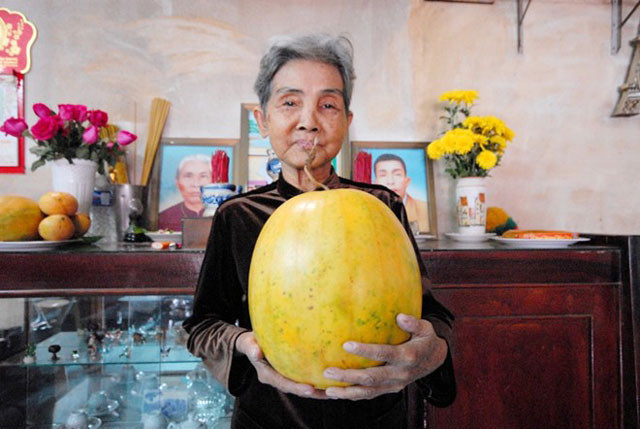 Bà Thoại kể, vào ngày 27 Tết Quý Tỵ (2013), bà ra chợ Thới Lai chọn mua cặp dưa hấu da vàng với giá 160.000 đồng/cặp, mỗi trái nặng 6,2 kg.