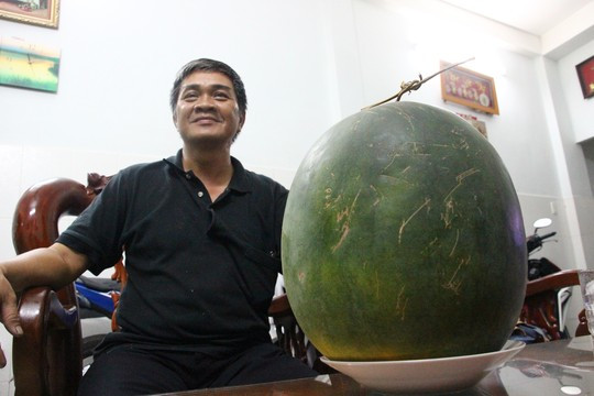 Cũng vào dịp trước Tết Nguyên đán Ất Mùi 2015, anh Phạm Văn Dũng (ngụ đường Ông Ích Khiêm, quận 11, TP HCM) mua cặp dưa hấu để chưng Tết. Tính đến nay, đã hơn 6 tháng nhưng cặp dưa vẫn không hỏng. Ảnh: Người Lao Động