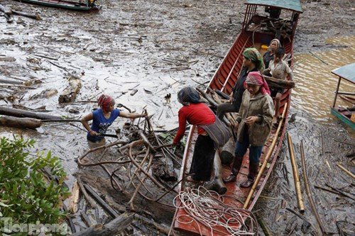 Mưa kéo dài liên tục trong nhiều ngày qua đã làm cho mực nước ở các sông, suối ở huyện Mường Chà, tỉnh Điện Biên dâng cao đột ngột; đẩy một lượng lớn các cây cối, gỗ, nứa, củi từ thượng nguồn, ào ạt theo dòng nước về bị đập thủy điện Nậm Mứt chặn lại tạo thành vùng rác gỗ khổng lồ.