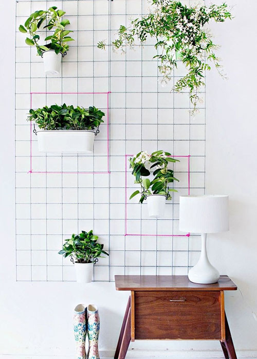 Vấn đề: Phòng nhỏ không có vườn: Bạn vẫn có thể tạo ra một khu vườn thẳng đứng ngay trong căn phòng nhỏ nhà mình bằng cách lắp một chiếc giá có nhiều ô lên tường và treo những chậu cây lên trên giá.