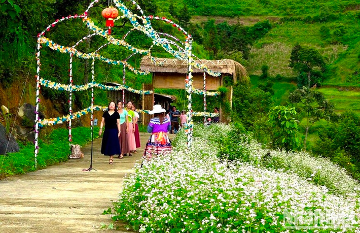 Đồng bào H'Mông làm thêm các điểm dừng chân ven đồi tam giác mạch để đón du khách dịp nghỉ Lễ 2/9. (Ảnh: ĐÌNH NAM)