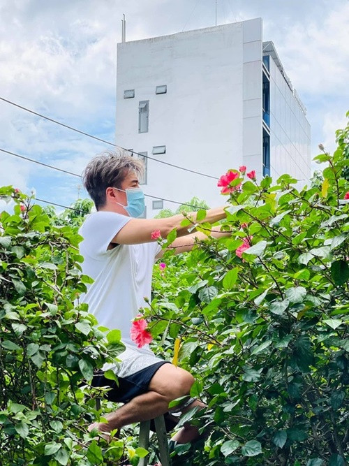Nam ca sĩ mua cây về trồng trong những chuyến công tác, du lịch. Ảnh: FB Đàm Vĩnh Hưng.
