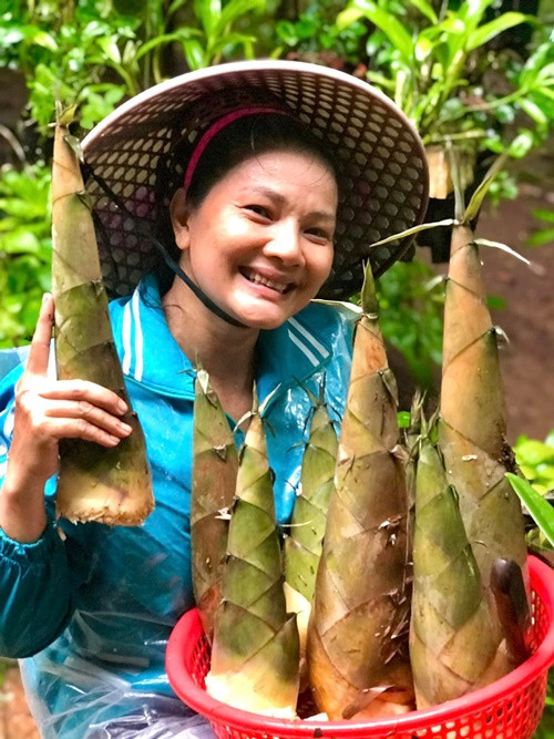 Nữ diễn viên mặc giản dị khi đi thu hoạch măng tươi trong mảnh vườn rộng nghìn mét vuông.