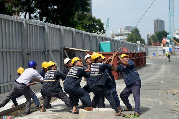 Trong buổi sáng, Công ty TNHH MTV Công viên cây xanh TP.HCM đã huy động nhiều công nhân để nhanh chóng đốn hạ số cây dầu còn lại, giải phóng mặt bằng cho đơn vị thi công. Chi phí thực hiện trong đợt đốn, di dời này là gần 200 triệu đồng.