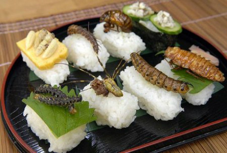 Sushi côn trùng: Bản thân món sushi đã rất khó ăn đối với những người không phải người Nhật bởi có nhiều loại sushi sử dụng thịt sống làm nguyên liệu. Nhưng sushi côn trùng còn kinh dị hơn thế nhiều… Ngày này côn trùng đã trở thành một món ăn phổ biến ở nhiều nước trên thế giới như Trung Quốc, Campuchia và Nhật Bản cũng không nằm ngoài ngoại lệ.