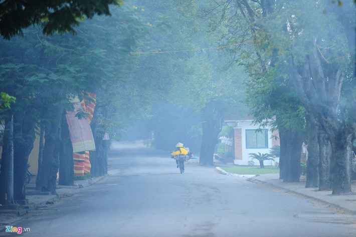 Sáng sớm mùa đông Hà Nội, những làn sương mờ ẩn hiện làm nên vẻ đẹp đặc biệt. Đâu đó những người đạp xe chở gánh hàng hoa chầm chậm di chuyển trong không khí vắng vẻ.