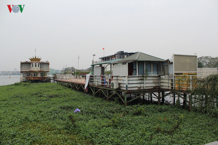 Người dân tranh thủ thả rau muống ngay tại đây.