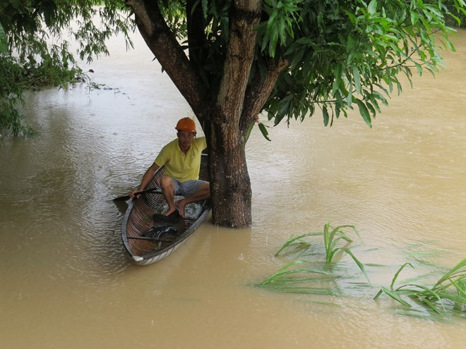Hiện các địa phương đang tập trung cứu dân ở những vùng bị ngập; chưa thống kê mức độ thiệt hại. Theo dự báo của Đài Khí tượng Thủy văn tỉnh Phú Yên dự báo trong 24 giờ tới mực nước các sông tiếp tục dâng, đạt hoặc trên mức báo động 3 từ 2 đến 3 m. Ảnh: La Hai.